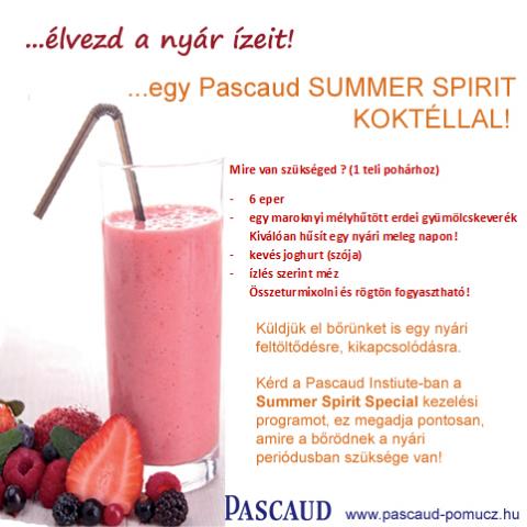 Élvezd a nyár ízeit egy Pascaud Summer Spirit koktéllal!